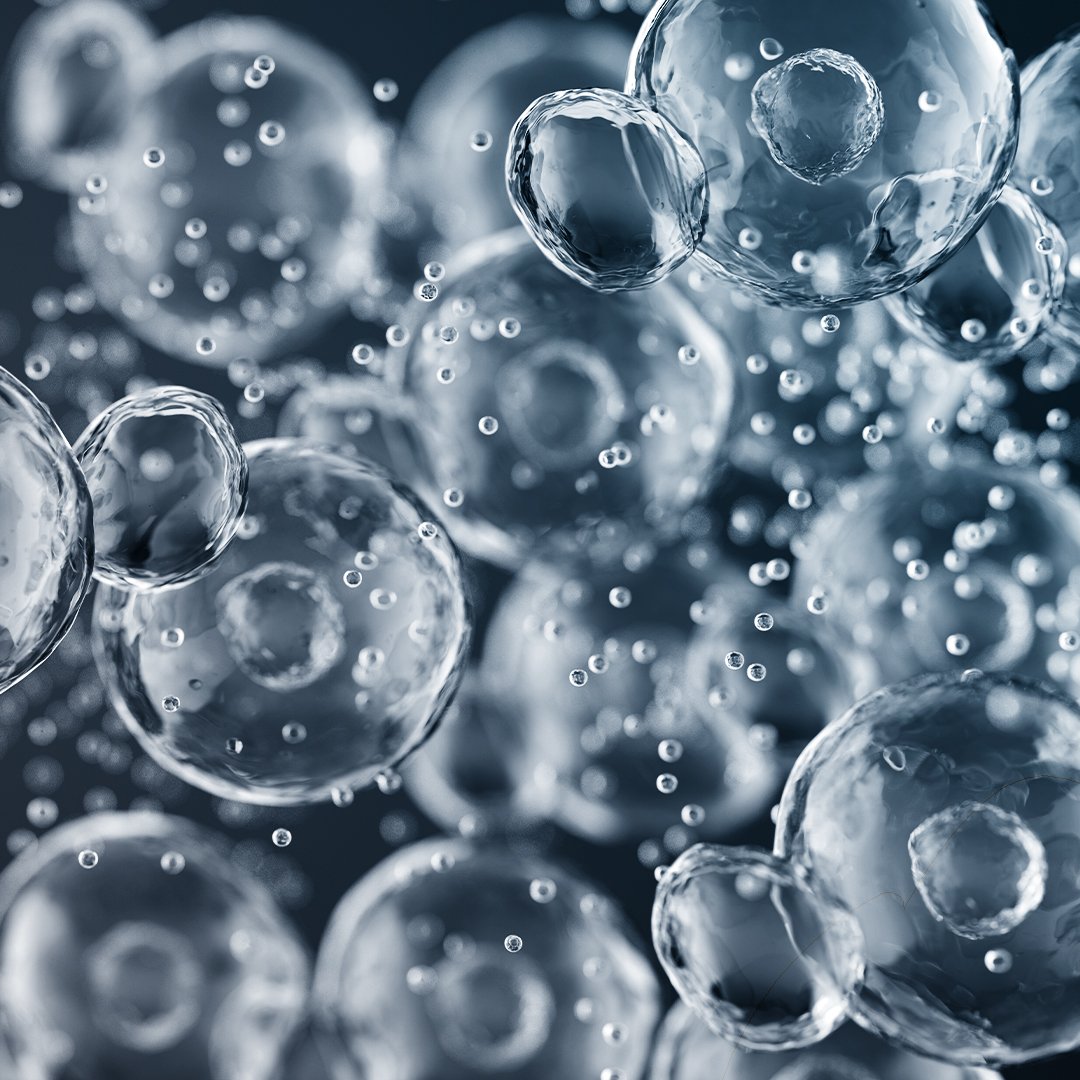 ​Fresh & Protect Mouthwash image number 4